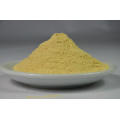 Dehydrated Mushroom Extract Agaricus Bisporus Powder Seasonings